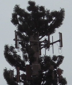 隱藏基地台